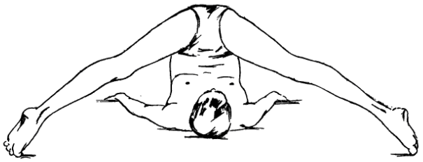 ХАЛАСАНА (поза плуга), разновидность 3 ХАЛАСАНА (поза плуга), разновидность 3